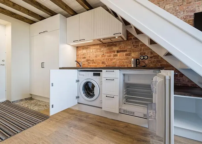 Center Loft2 公寓 塔林